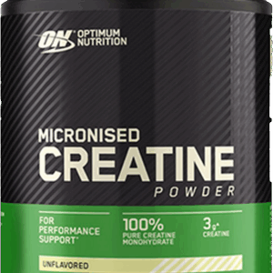 Optimum Nutrition Micronized Creatine Powder 317 g