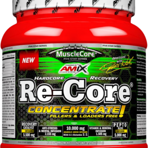 Amix Re-Core® Concentrated 540 g fruit punch